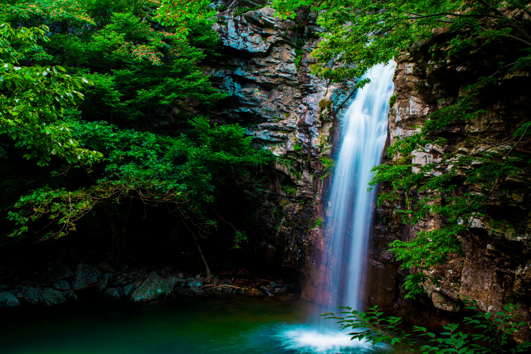 수정됨_DSC00882