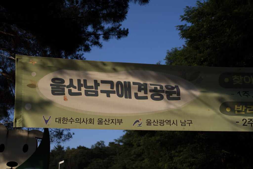 울산남구애견공원