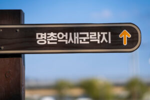 울산 북구 명촌동 동천강변 도시바람길숲 조성 | 1km 구간 나무·벤치·파고라, 연말 완공 목표