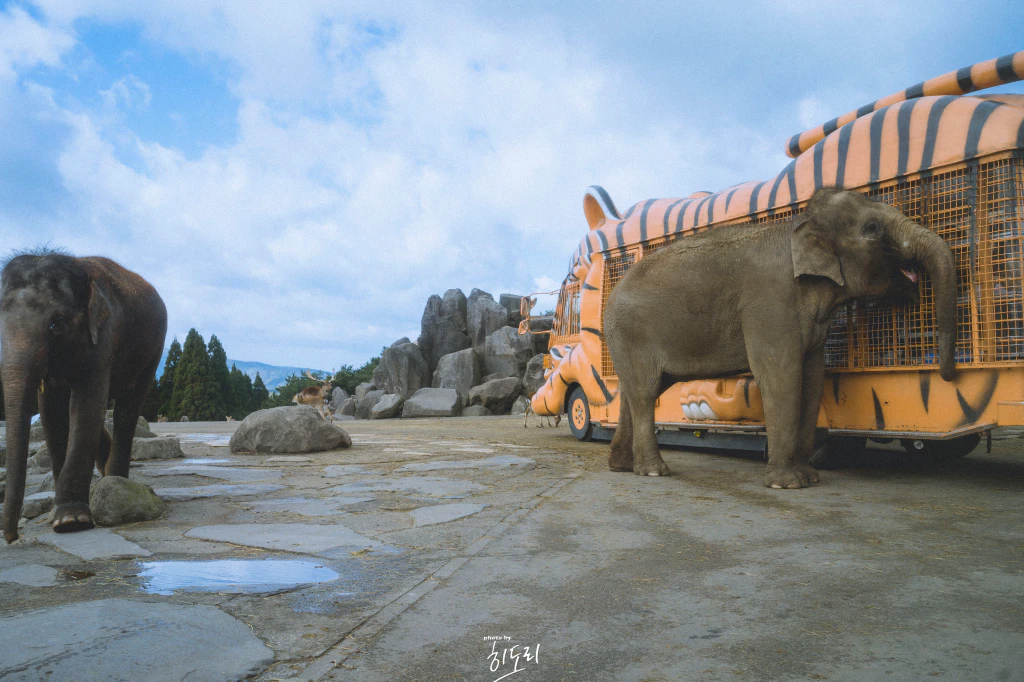 수정됨_DSC00059-복사