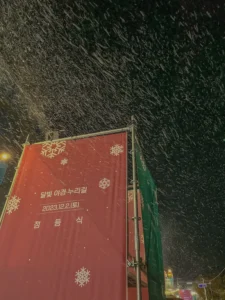 울산 중구 성안동의 화려한 변신: 달빛 야경 누리길 점등식 방문 후기