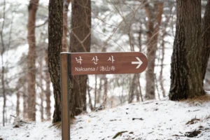 눈 오는 강원 양양 낙산사 – 주차장 정보와 설경 여행