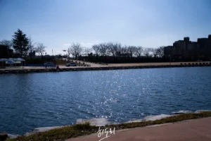 경북 예천 여행 – 김대순 용궁순대, 예천 중앙시장