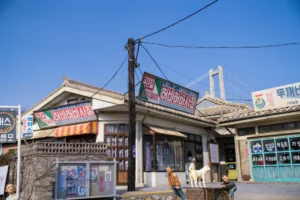 울산 장생포 고래문화마을 – 고래박물관과 생태체험관 볼거리