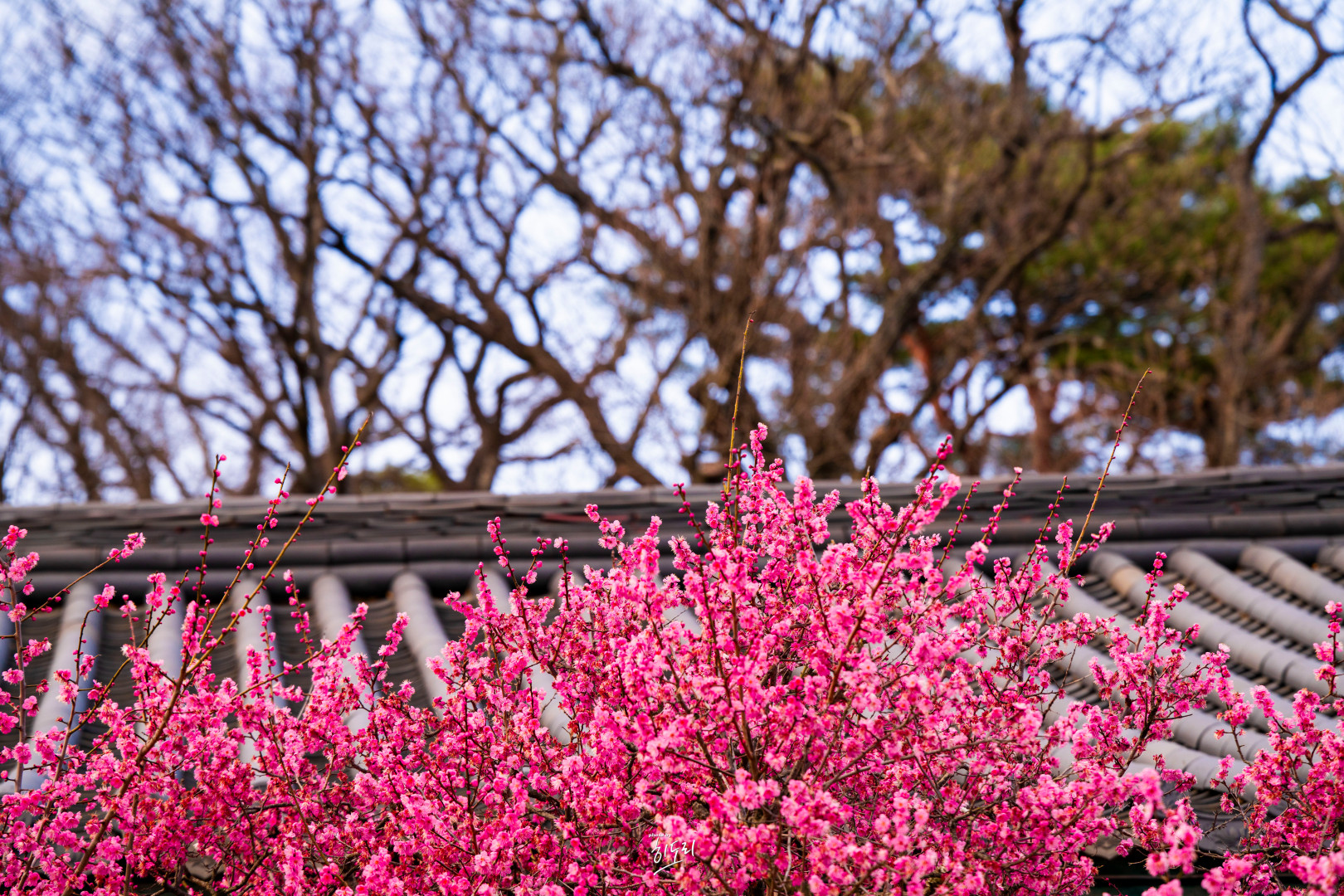 수정됨_DSC00031-복사
