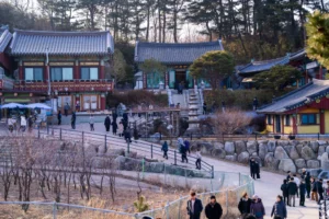 양양 가볼만한곳 휴휴암 – 물고기떼와 갈매기를 만나는 사찰
