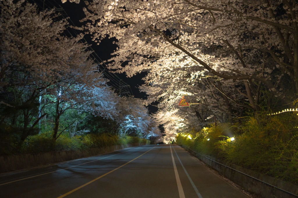 수정됨_제목-없음_12-10