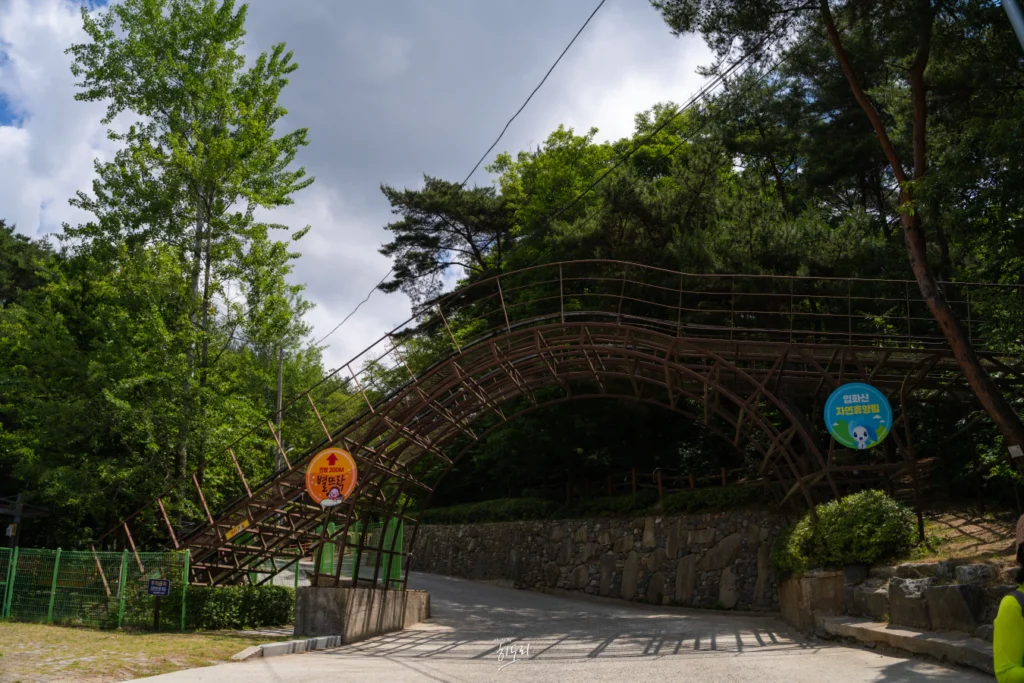 입화산 자연휴양림의 모든것(유아숲체험원) 사진 4