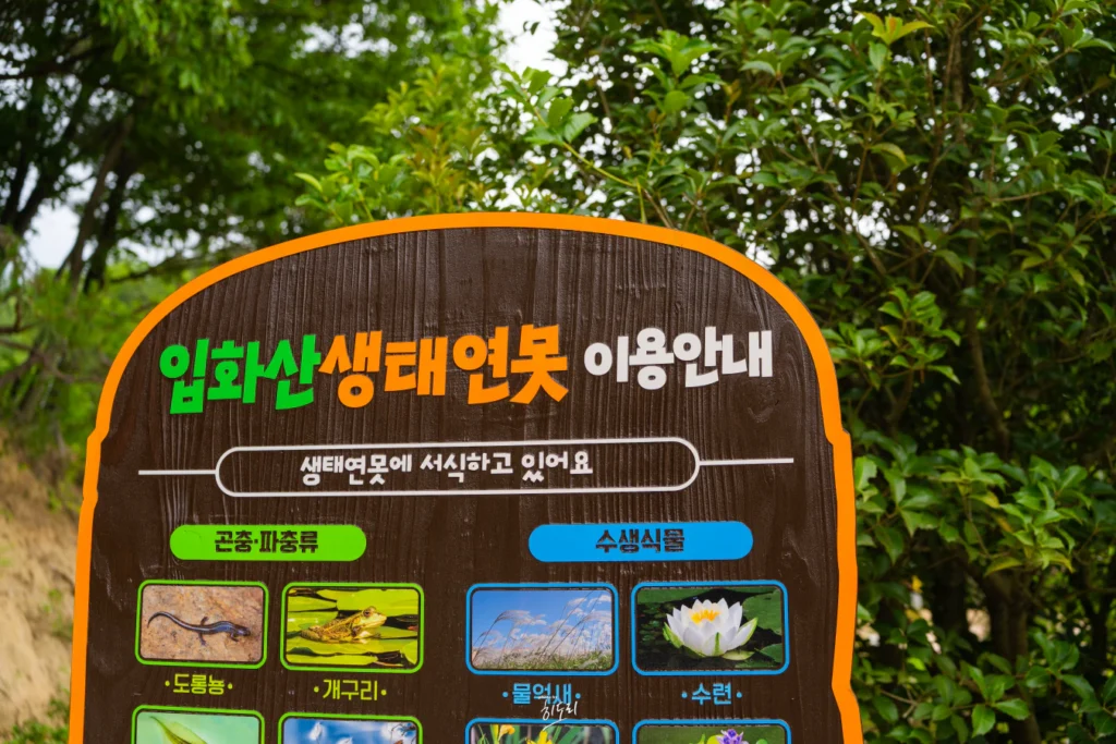 입화산 자연휴양림의 모든것(유아숲체험원) 사진 12