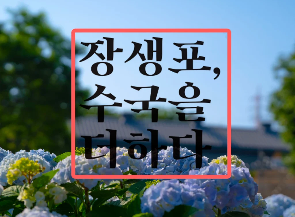 울산 남구 장생포 수국 페스티벌 방문기