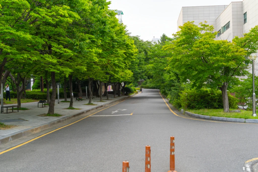 울산과학대학교에서 존 원의 대형 그래피티 작품을 보고 왔습니다!