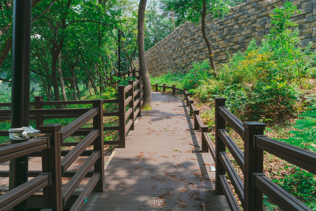 HWI00005 복사 2