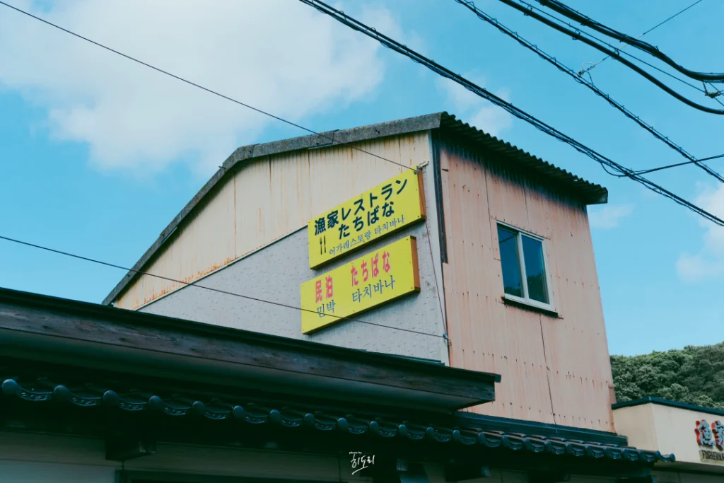 대마도 히타카츠의 아늑한 민박집, 타치바나