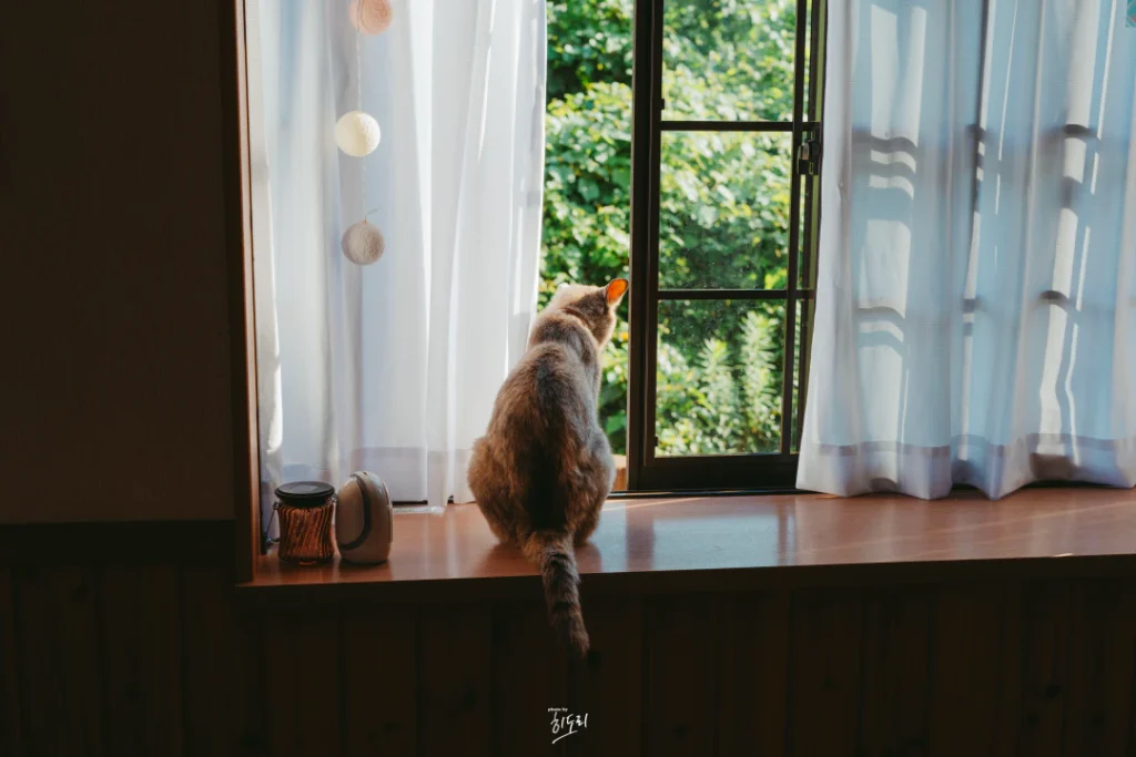 대마도 숙소 추천: 이즈하라의 카메하우스(Kame House) 대마도 숙소 추천: 이즈하라의 카메하우스(Kame House)