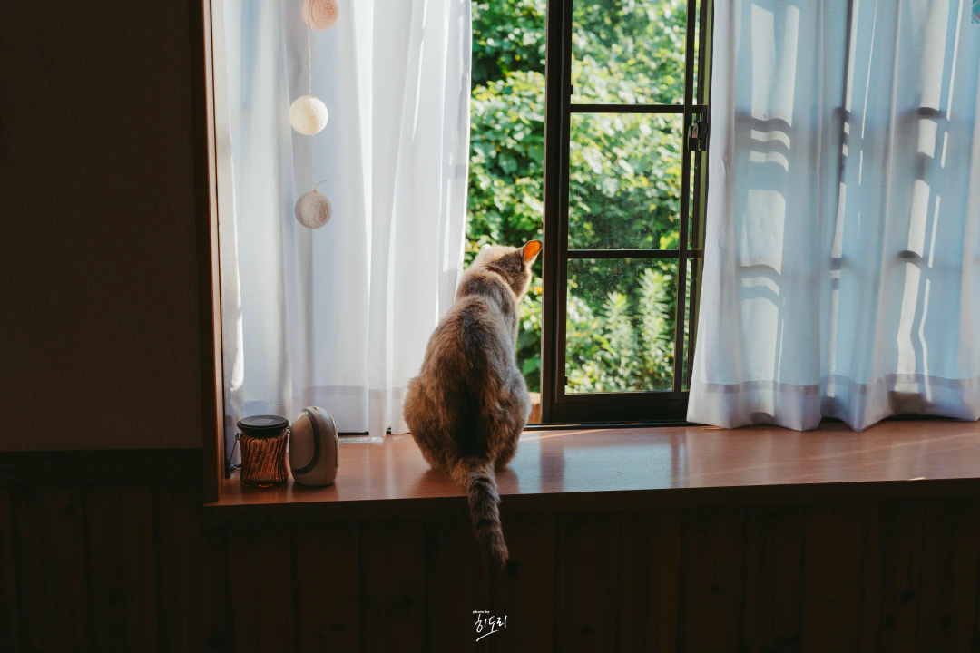 HWI00131 복사