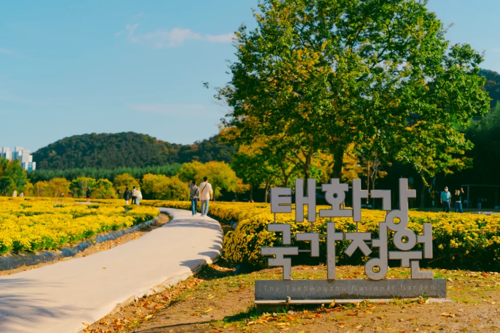 가을의 낭만을 만끽할수 있는 '태화강 국가정원 가을축제'