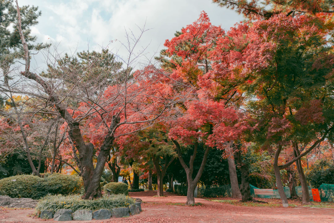 HWI00010 복사