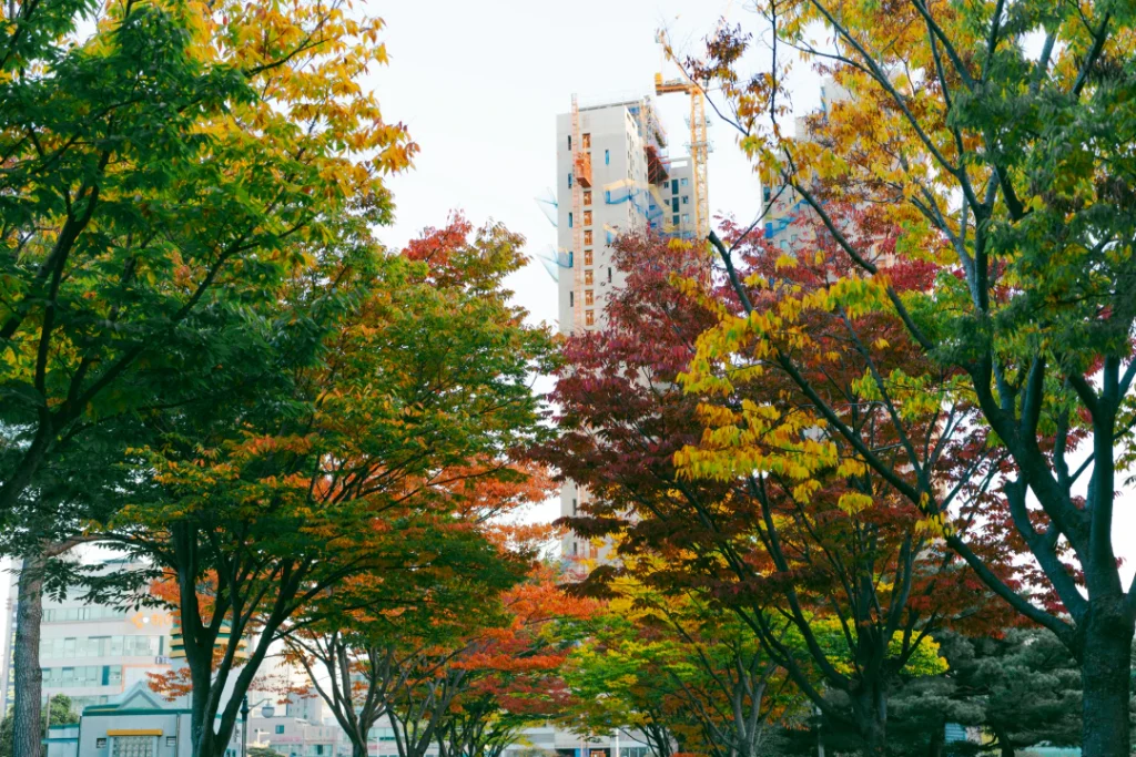 울산예술제 다녀온 후기: 예술의 향연에 빠지다