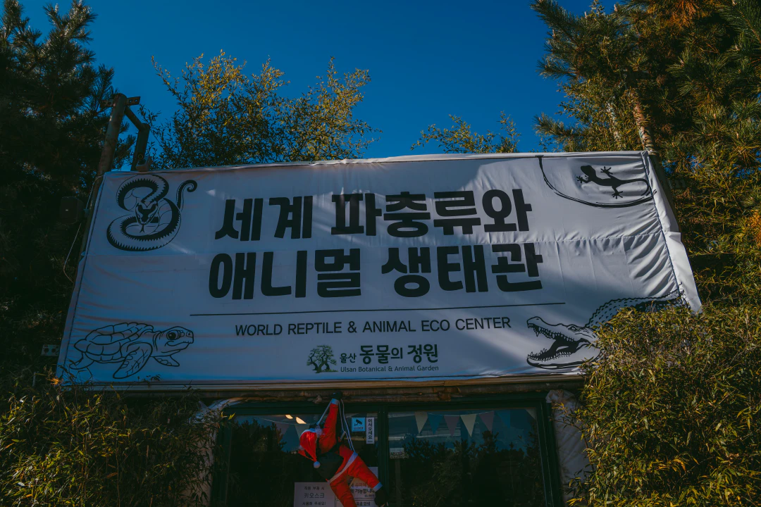 겨울에도 즐거운 자연 체험! 울산테마식물수목원 HWI00025 복사
