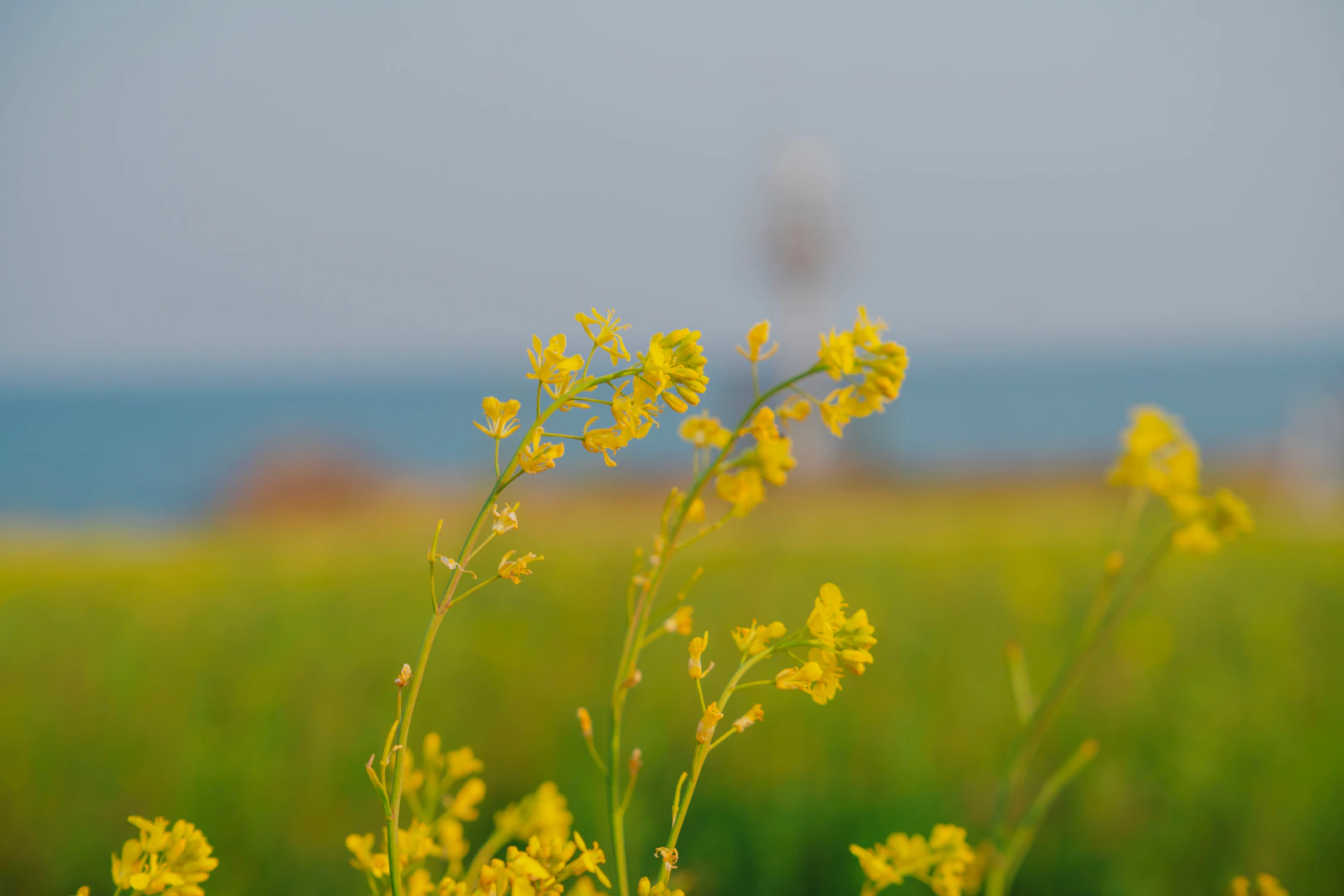 HWI00058 복사