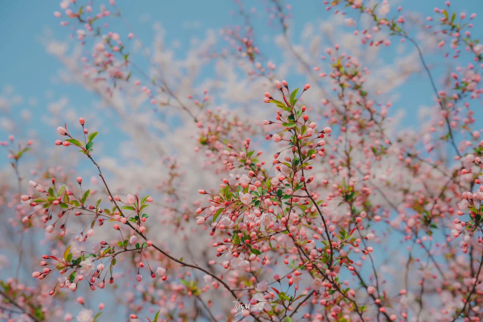 HWI00042 복사