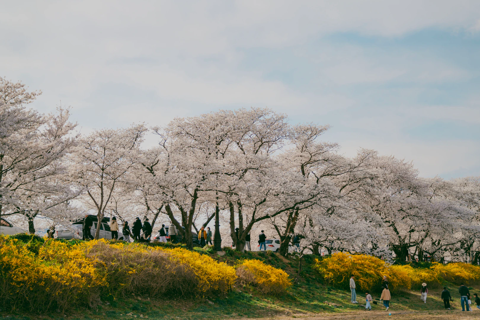 HWI00072 복사