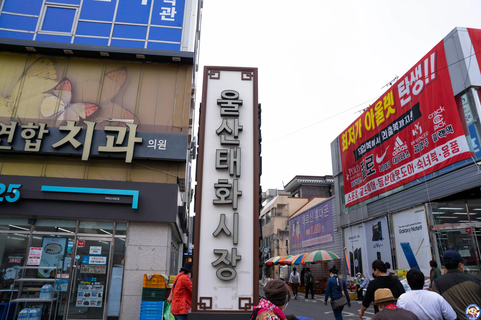 제목 없음