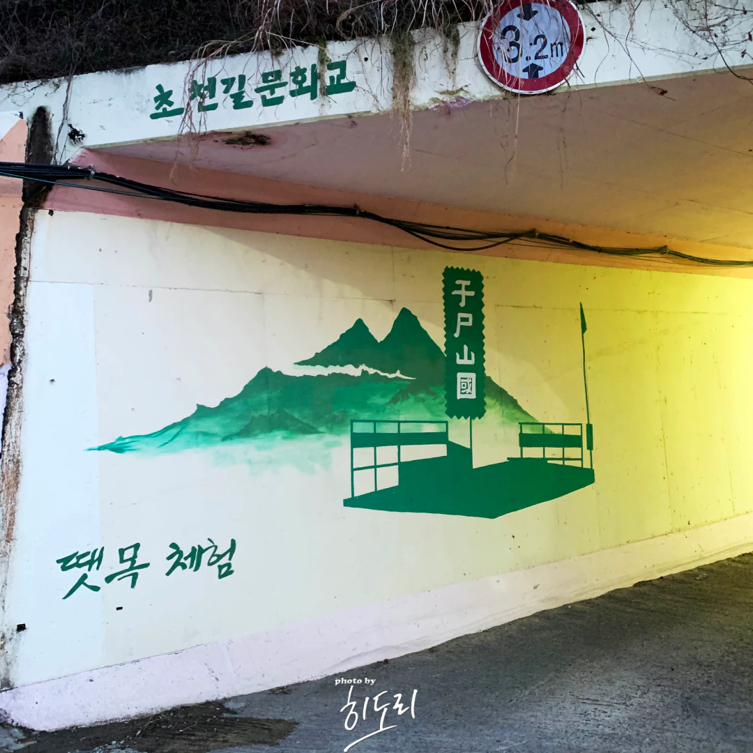 [울산 근교 힐링 산책] 울주군 ‘초천(초정)마을’