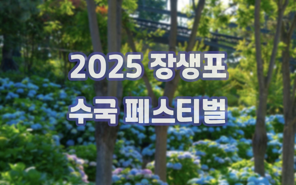 20250526_013437 복사