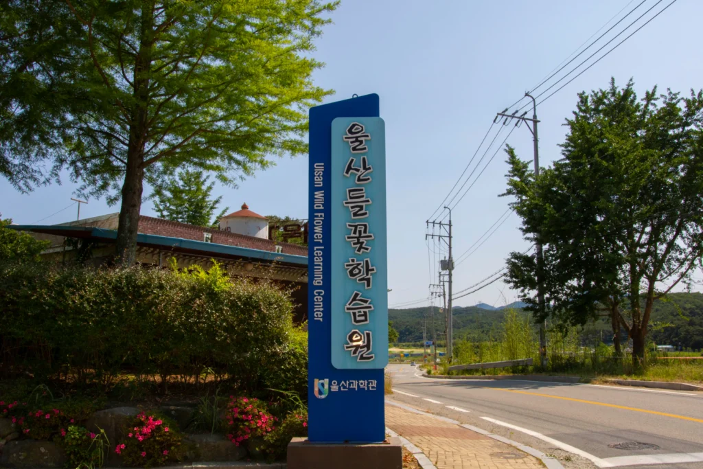 울산들꽃학습원에서 자연과 하나 되다 – 아이들과 함께하는 생태 체험 추천!