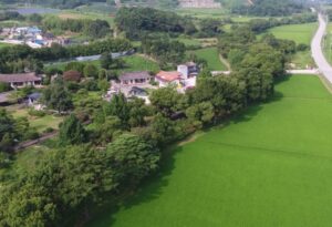 200년 넘게 마을을 지킨 숲, ‘고창 삼태마을숲’이 천연기념물로! 200년 넘게 마을을 지킨 숲, ‘고창 삼태마을숲’이 천연기념물로!