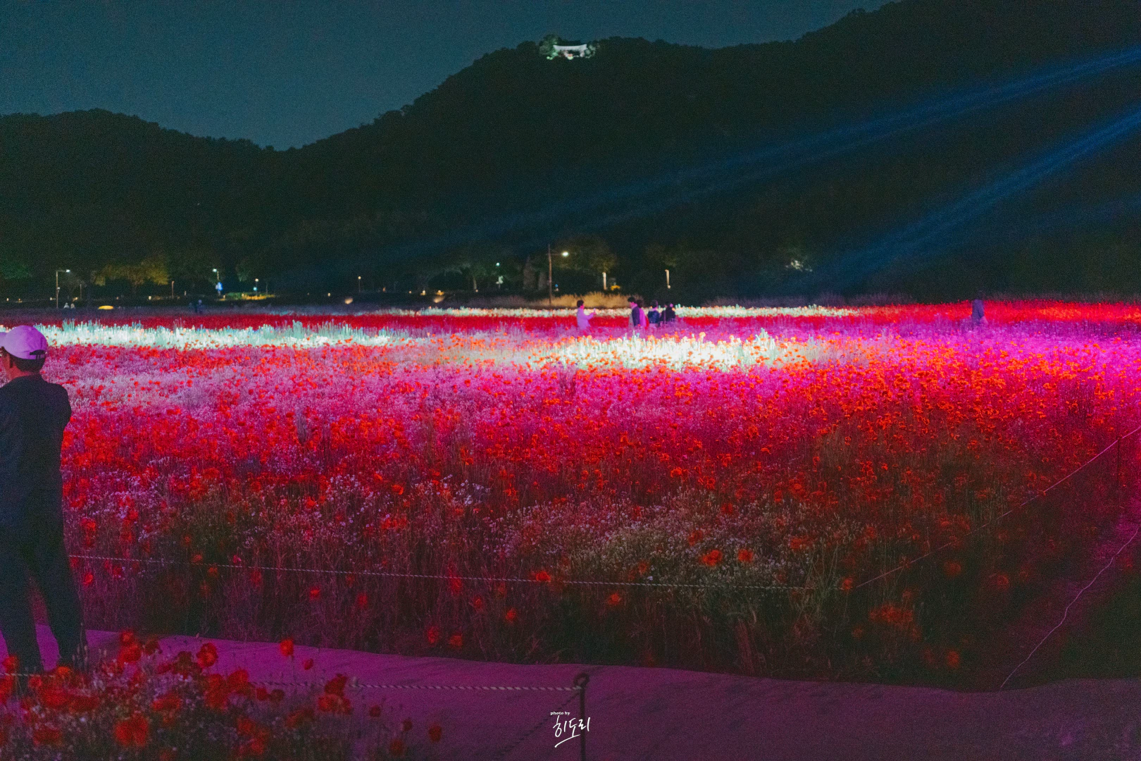 DSC00113 복사