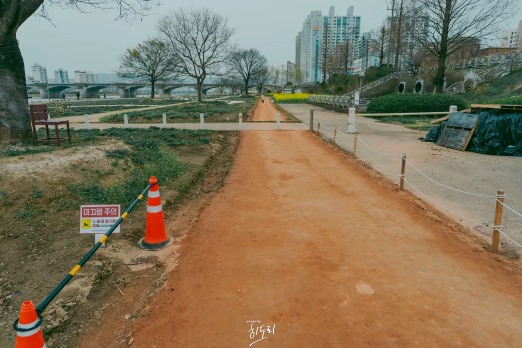 울산 태화강 황토 맨발길, 도심 속 맨발 힐링 산책로로 떠나요!