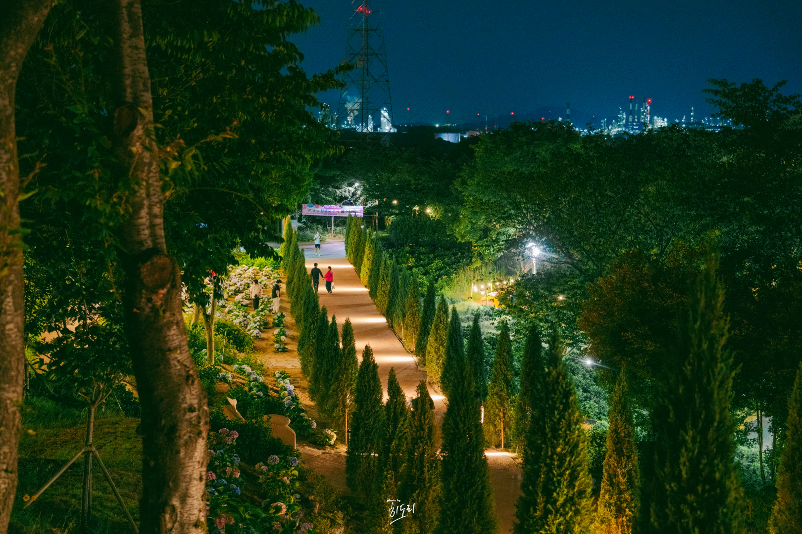 HWI00019 복사