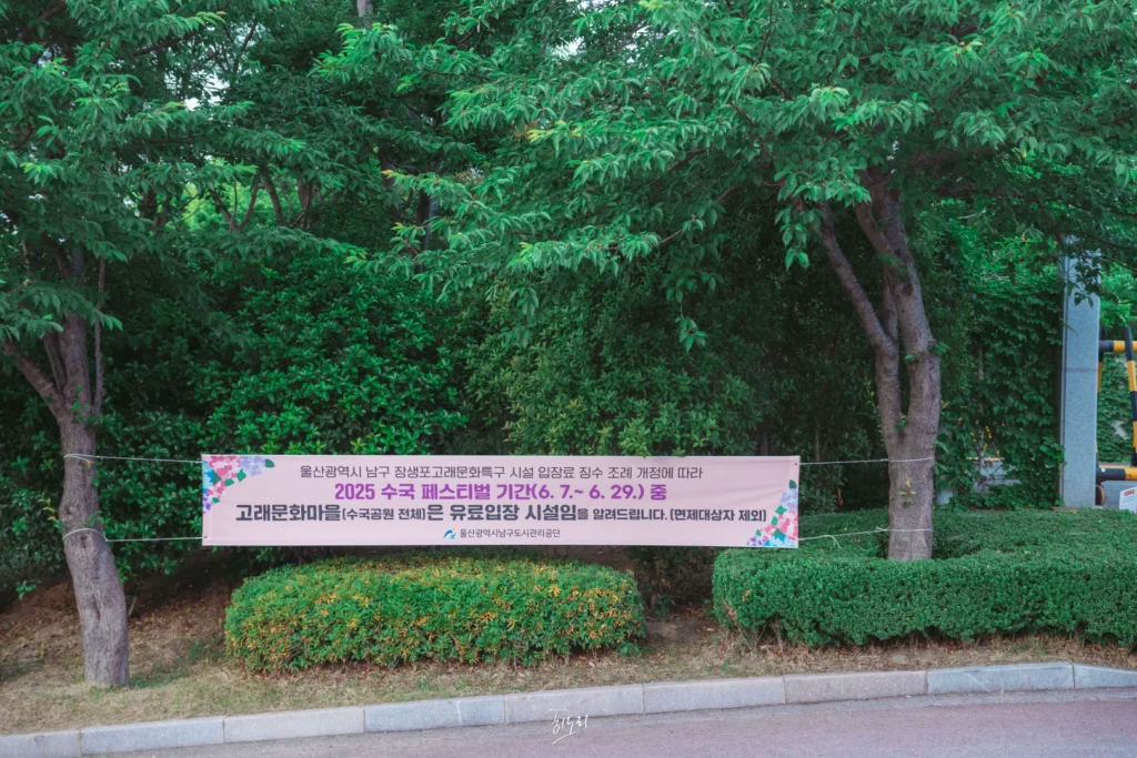 낮보다 밤이 더 아름다운 🌙 울산 장생포 수국축제 야경