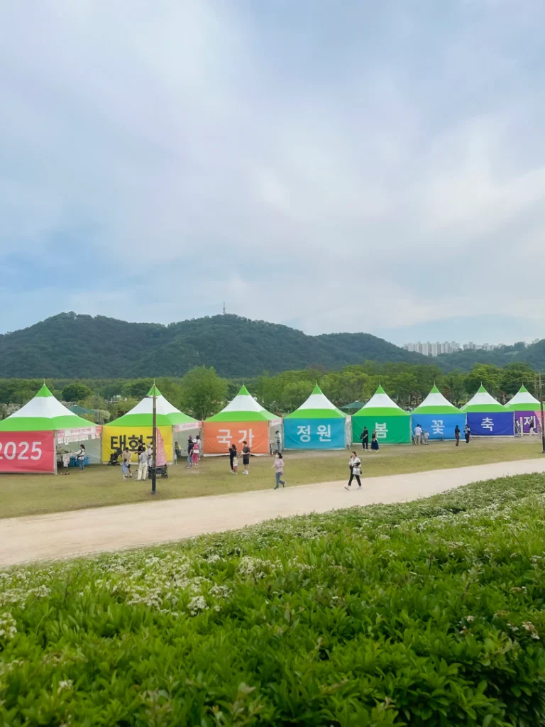 낮보다 밤이 더 아름다운 태화강 국가정원 봄꽃들의 매력