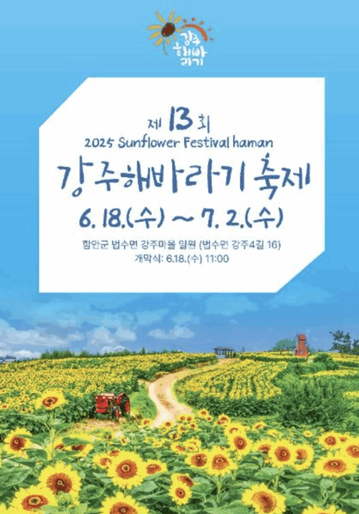 초여름 정열의 꽃밭에서, 강주해바라기축제