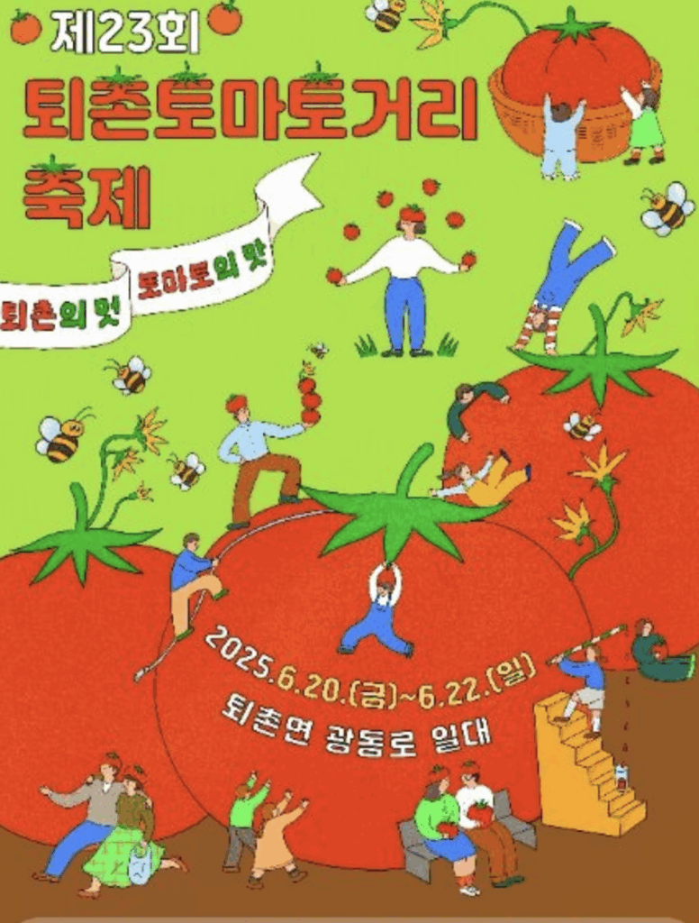 퇴촌 토마토거리축제, 신나게 터진다! 빨갛게 물든 축제 현장 🍅