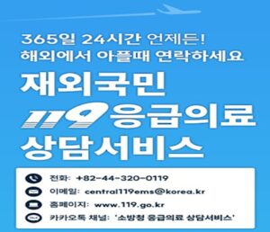해외여행 중 아플 땐? “119 카톡하세요!”…’재외국민 응급상담서비스’ 해외여행 중 아플 땐? “119 카톡하세요!”…’재외국민 응급상담서비스’