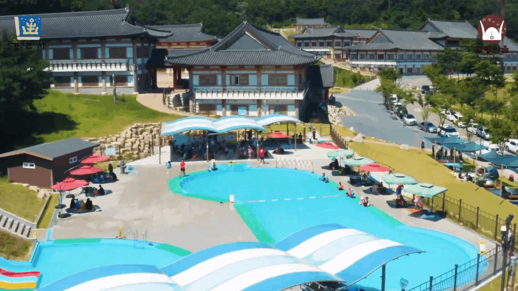 경주 문무야외수영장 2025년 7월 개장! 수영 덕후들 여름 성지 소환 완료