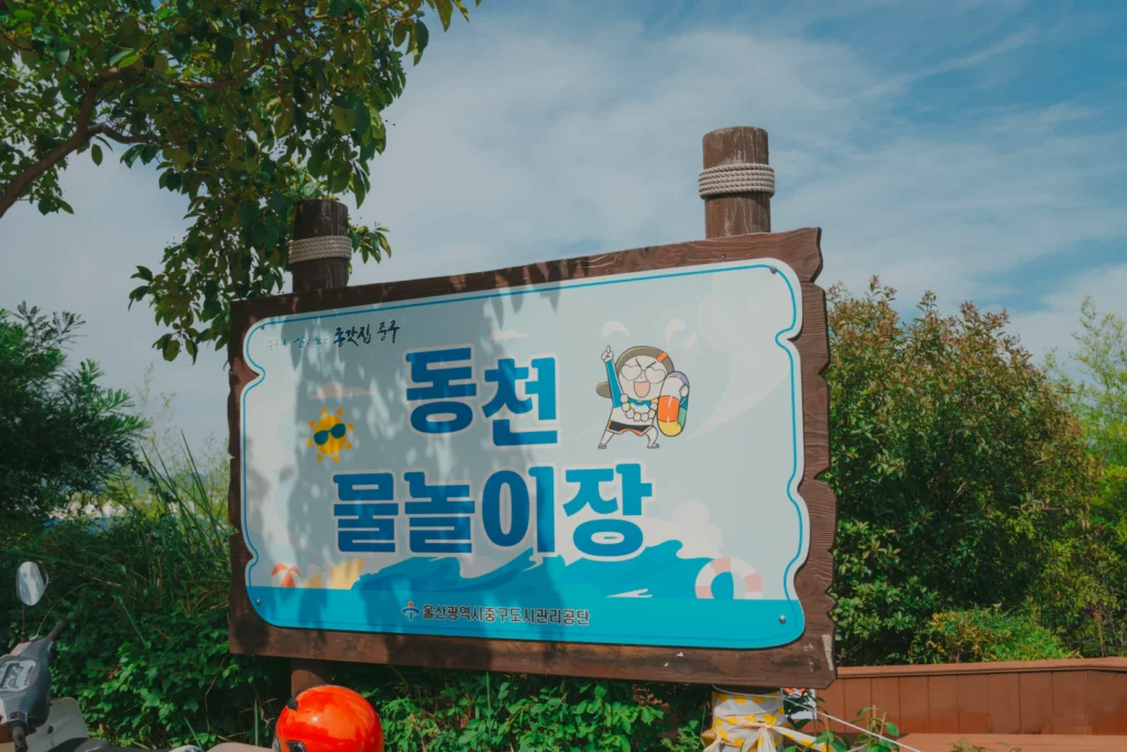 울산 동천 야외 물놀이장 제대로 즐기는 꿀팁 총정리