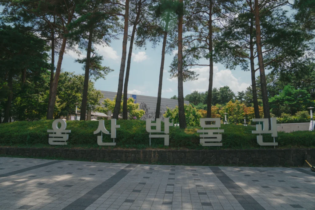 울산 도심을 나는 미래체험! 울산 라이징 포트 타보고 왔어요 ️ 한눈에 담는 울산 여행 - travel - Light One