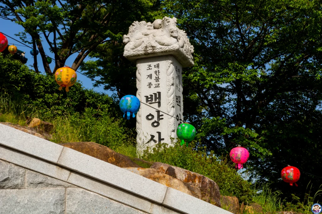 도심 속 고요한 휴식처, 백양사