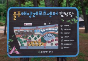 역대급 캠핑 in 울산 2025! 몸만 오면 끝나는 올인원 감성 캠핑