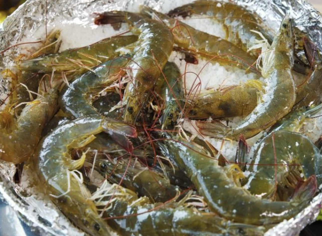 입에서 살살 녹는 가을의 맛! 2025 홍성 남당항 대하축제 입에서 살살 녹는 가을의 맛! 2025 홍성 남당항 대하축제