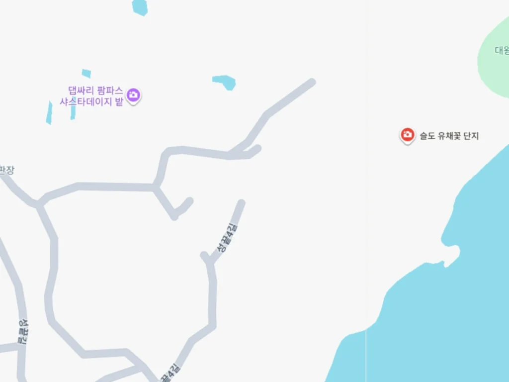 슬도 팜파스·댑싸리·등대 포토존 완벽 공략 (주차/위치/가볼만한곳)