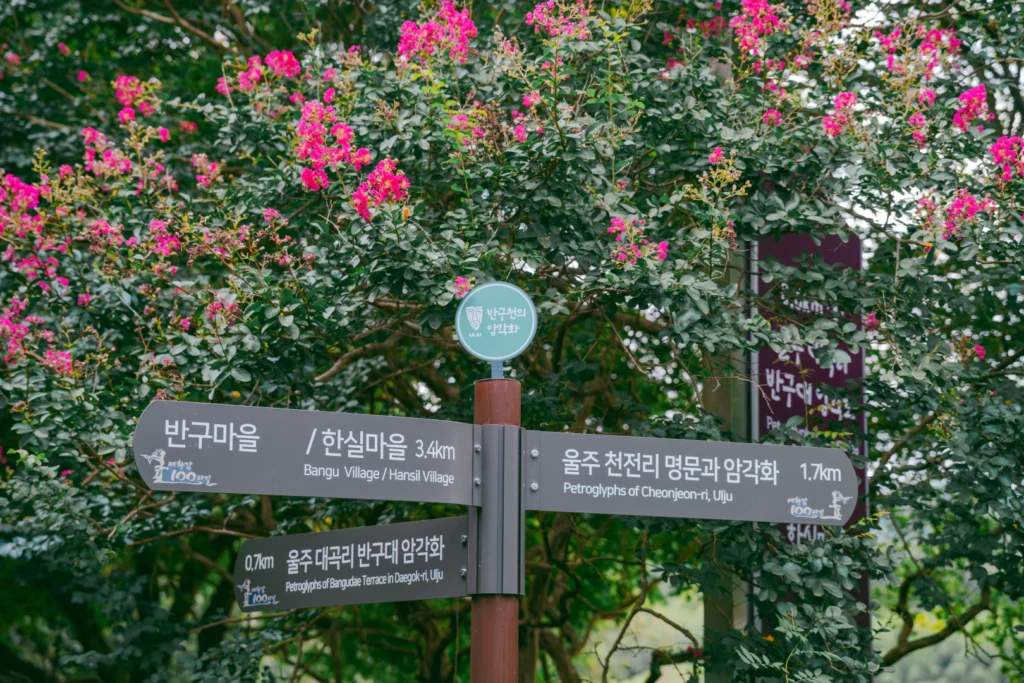 천 년의 시간을 걷다, 반구대 암각화 가는길
