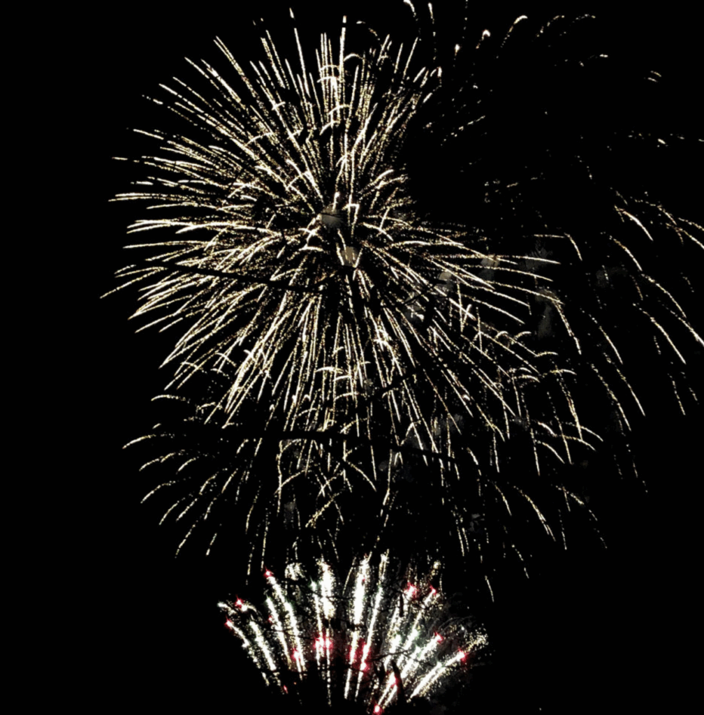 경상도 가을 축제 총정리! 2025년 가을, 여기 다 모였다