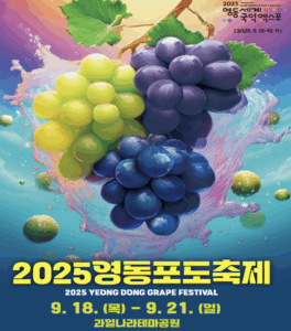 포도밟고~ 웃고~ 즐기는! 🍇 제17회 영동포도축제