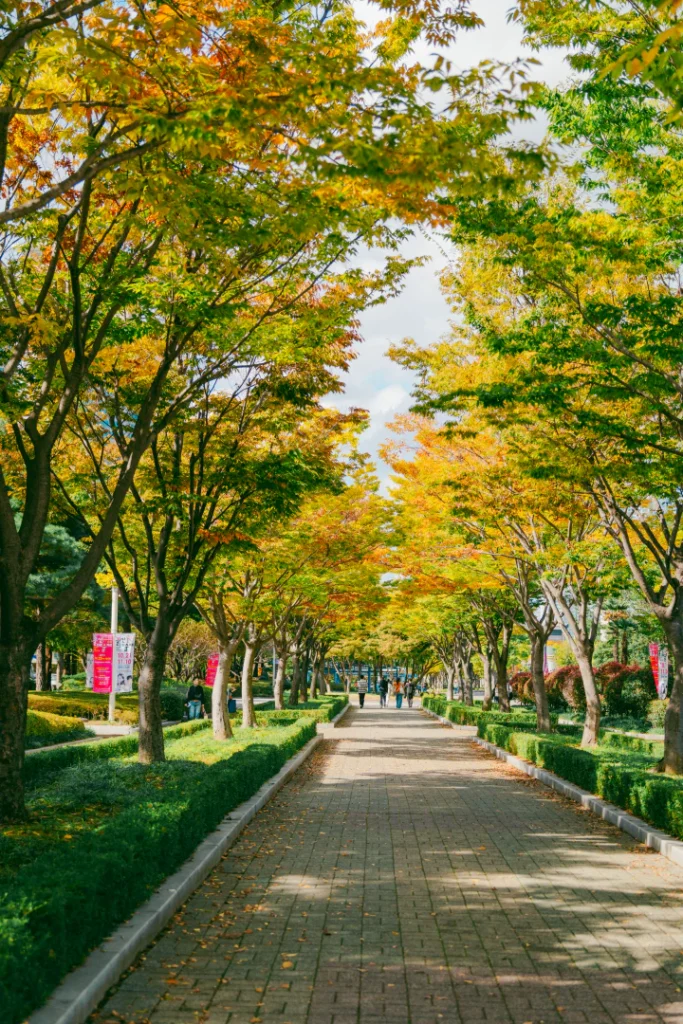 왕생로 아트온 페스티벌 🎶 일상이 무대로 변한 특별한 하루